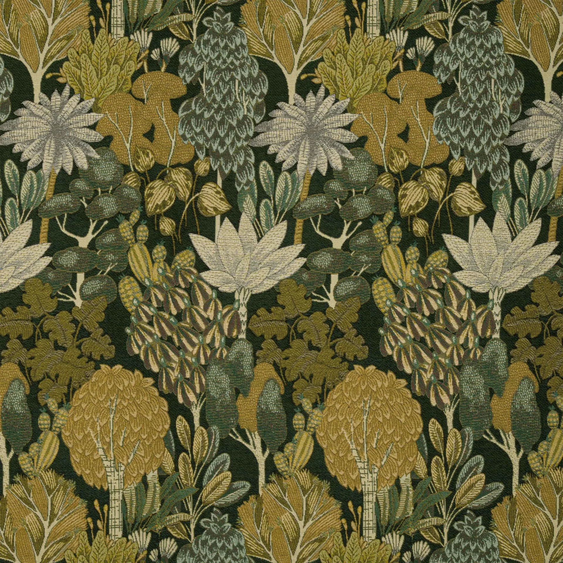Dried Herbs